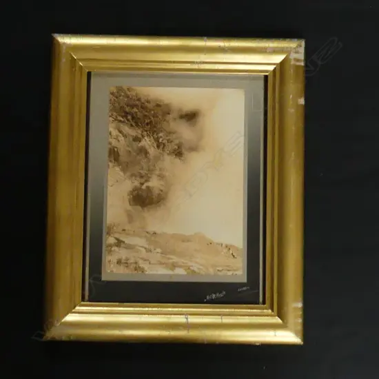 Colonial Muir & Moodie Dunedin black and white photo 'The Great Wairakei Geyser in Action